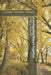 Investigating Nature Together. Part 1: Autumn: Ecological Field Studies Techniques by Michael Brody