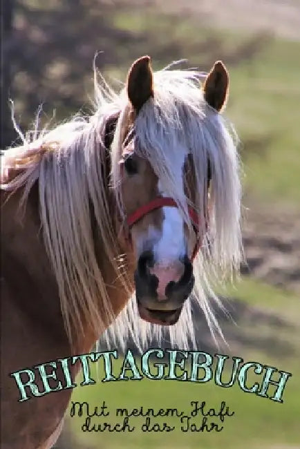 Reittagebuch: Das Reittagebuch zum Eintragen für über 200 Reiteinheiten Mit meinem Hafi durch das Jahr Jahreskalender Geschenkidee Haflinger by Publishing, Reitstall