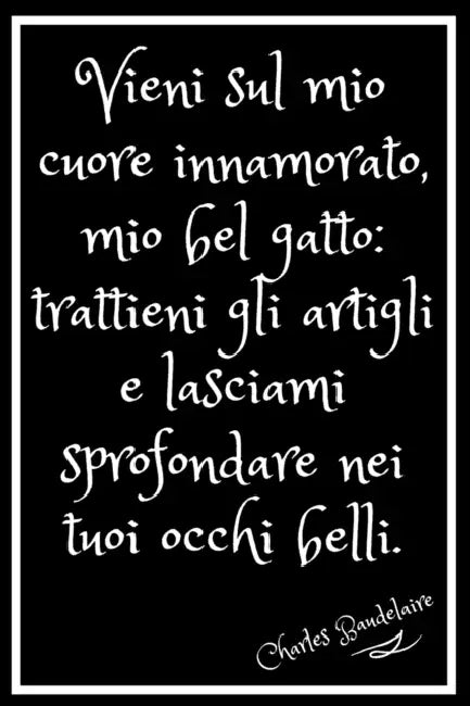 Charles Baudelaire.: Baudelaire. Bel gatto. Quaderno 15,24cm X 22,86cm .120 pagine linee orizzontaliUn regalo speciale e utile. Stampa bril by Fabrizia T. Beata Publishing