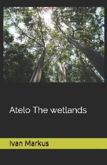 Atelo The wetlans by Ivan Markus