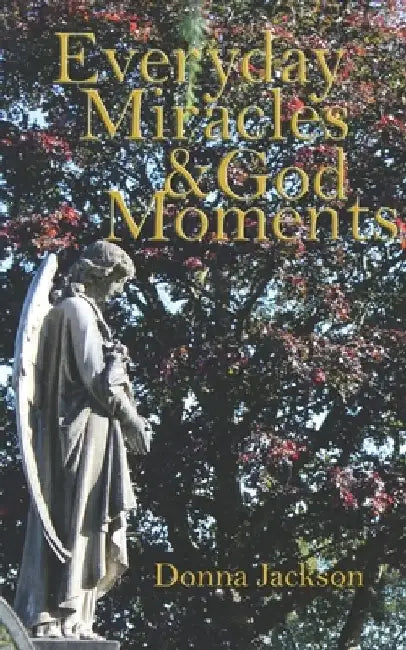 Everday Miracles & God Moments by Debra Simmons