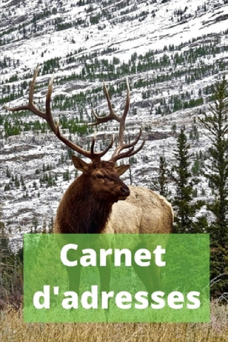 Carnet d'adresses: Répertoire téléphonique alphabétique by Comptabilite Du Microentrepreneur