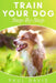 Train Your Dog Step-By-Step: 3 BOOKS IN 1 - Learn How To Train Your Dog, Tips And Tricks, Techniques And Strategies For The Best Dog Ever by Paul Davis
