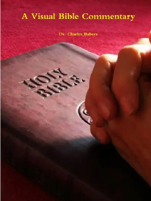 A Visual Bible Commentary by Charles Babers