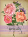 Victorian Garden: Greyscale Colouring Book 4 by Xenia E. Zilli