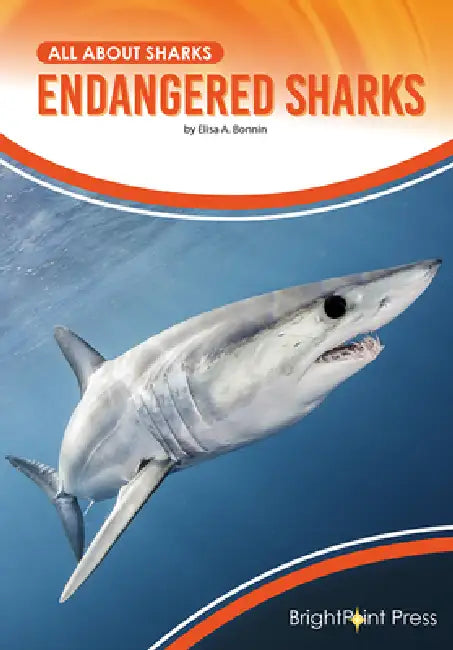 Endangered Sharks by Elisa A. Bonnin
