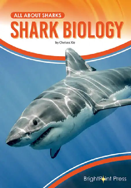 Shark Biology by Chelsea Xie