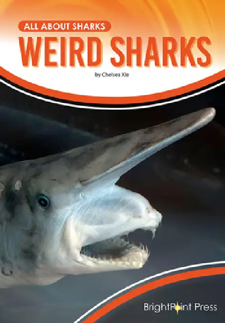 Weird Sharks by Chelsea Xie