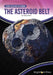The Asteroid Belt by Yvette Lapierre