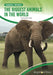 The Biggest Animals in the World by Samantha S. Bell