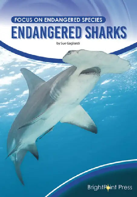 Endangered Sharks by Sue Gagliardi