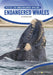 Endangered Whales by Clara Maccarald