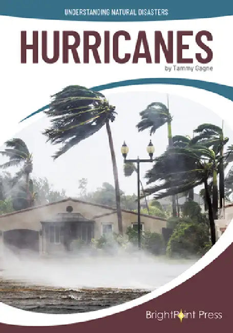 Hurricanes by Tammy Gagne
