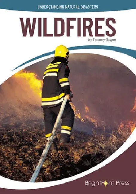 Wildfires by Tammy Gagne