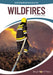 Wildfires by Tammy Gagne