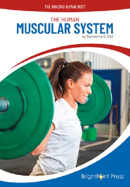 The Human Muscular System by Samantha S. Bell