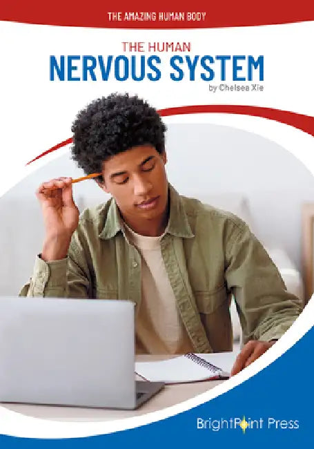 The Human Nervous System by Chelsea Xie