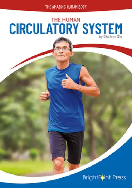 The Human Circulatory System by Chelsea Xie