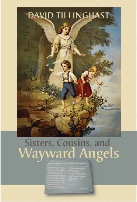 Sisters, Cousins, and Wayward Angels: Poems by David C. Tillinghast