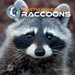 All about North American Raccoons by Lisa Petrillo