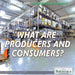 What Are Producers and Consumers? by Marcia Amidon Lusted