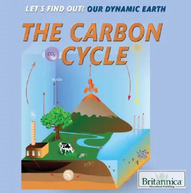 The Carbon Cycle by Laura Loria