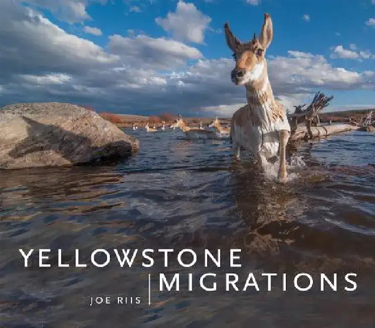 Yellowstone Migrations by Joe Riis