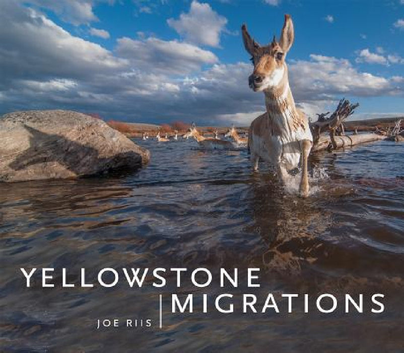 Yellowstone Migrations by Joe Riis, Arthur Middleton, Emilene Ostlind