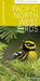 Pacific Northwest Birds: Forest & Mountains: A Pocket Reference by Gerrit Vyn