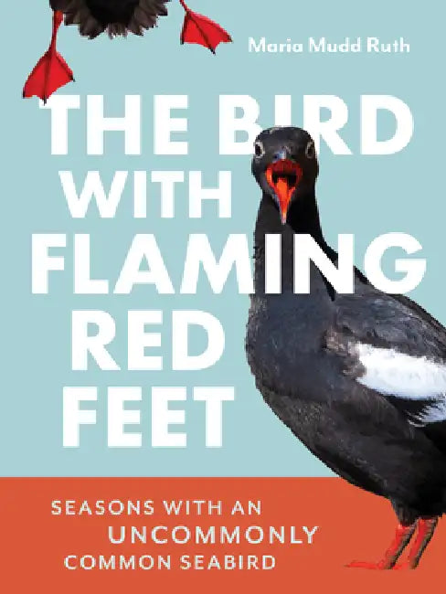 The Bird with Flaming Red Feet: Seasons with an Uncommonly Common Seabird by Maria Mudd Ruth