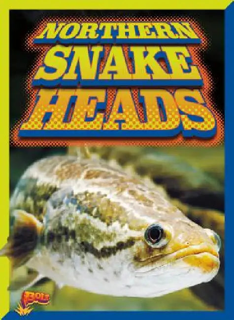 Northern Snake Heads by Barbara Ciletti