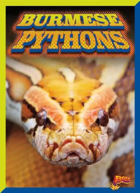Burmese Pythons by Barbara Ciletti