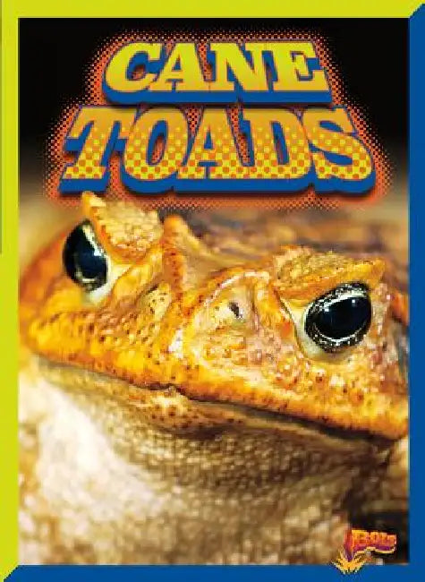 Cane Toads by Barbara Ciletti