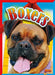 Boxers by Margaret Mincks