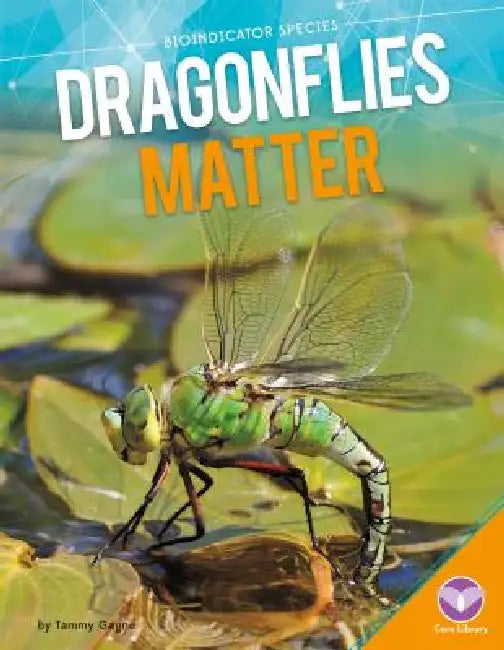 Dragonflies Matter by Tammy Gagne