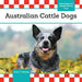 Australian Cattle Dogs by Paige V. Polinsky