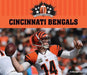 Cincinnati Bengals by Katie Lajiness