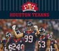Houston Texans by Katie Lajiness