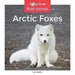 Arctic Foxes by Leo Statts