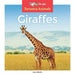 Giraffes by Leo Statts
