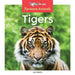 Tigers by Leo Statts