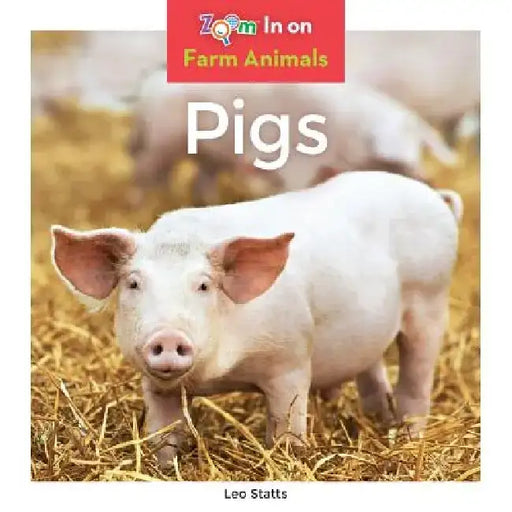 Pigs by Leo Statts