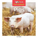 Pigs by Leo Statts