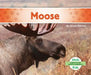 Moose by Grace Hansen