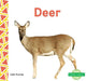 Deer by Julie Murray