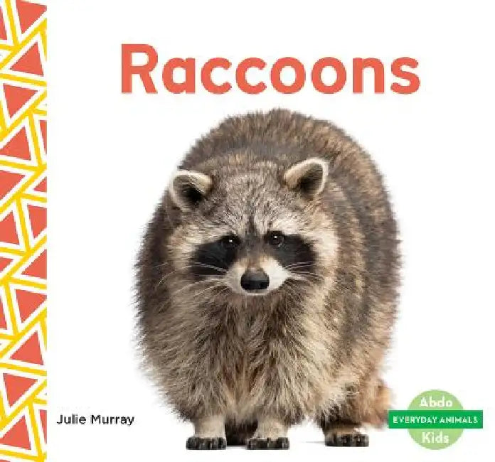 Raccoons by Julie Murray