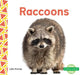 Raccoons by Julie Murray