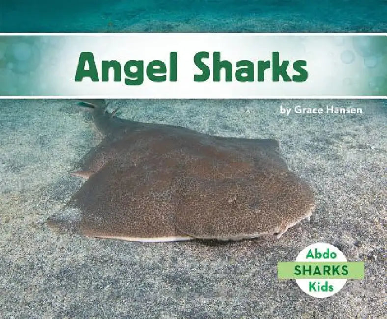 Angel Sharks by Grace Hansen