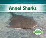 Angel Sharks by Grace Hansen