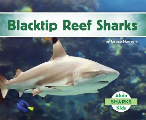 Blacktip Reef Sharks by Grace Hansen